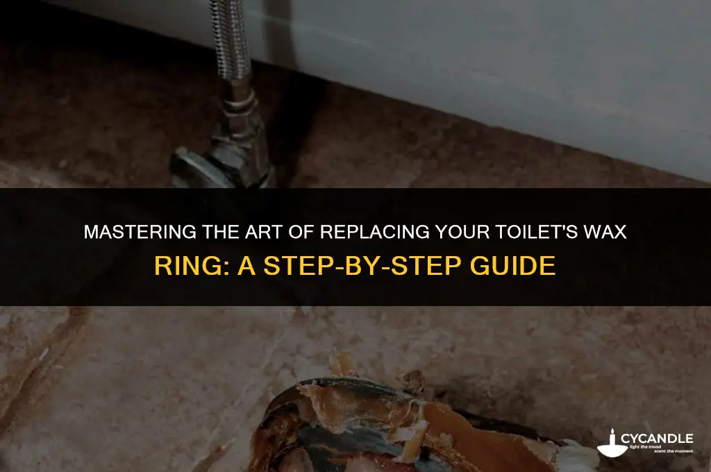 how to change wax ring