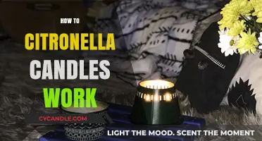 How Citronella Candles Repel Mosquitoes: Science Behind Their Effectiveness