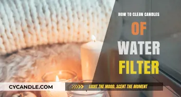 Cleaning Candles: Water Filter Maintenance Simplified