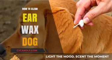 Effective Tips for Safely Cleaning Your Dog's Ears at Home