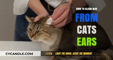 Purr-fectly Clean: A Guide to Safely Removing Wax from Your Cat's Ears