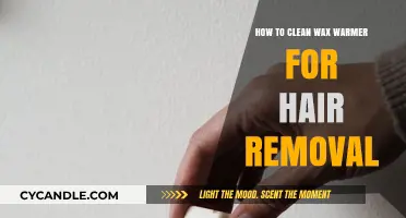 Effective Tips for Cleaning Your Wax Warmer for Hair Removal
