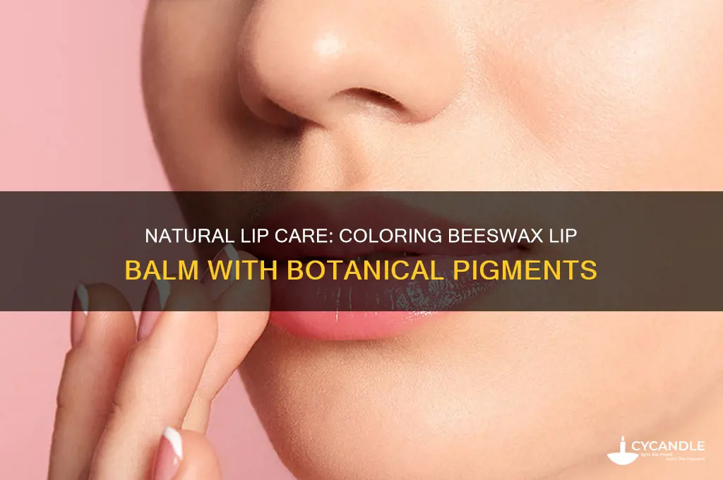 how to color beeswax lip balm