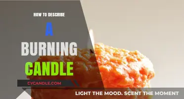 Captivating Senses: Articulating the Warmth and Glow of a Burning Candle