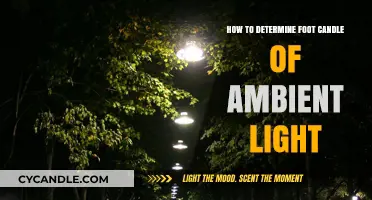 Measuring Ambient Light: A Guide to Determining Foot Candles Accurately
