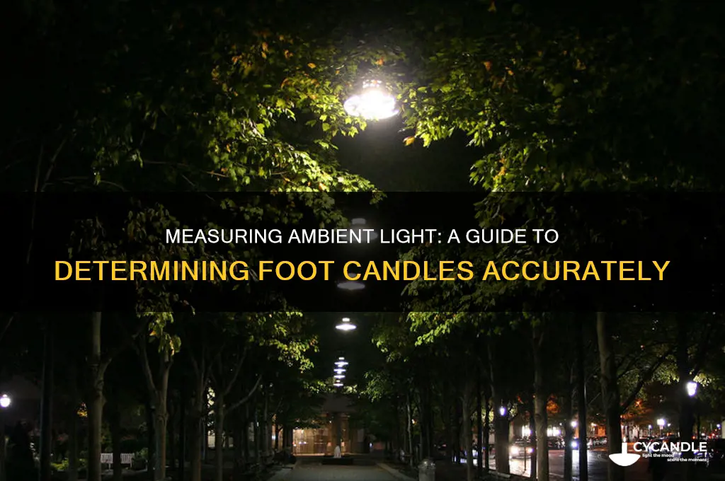 how to determine foot candle of ambient light