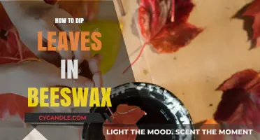 Preserving Nature's Beauty: A Guide to Dipping Leaves in Beeswax