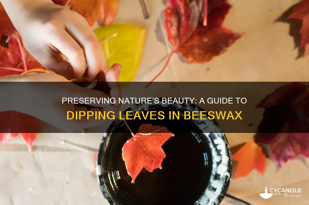 how to dip leaves in beeswax