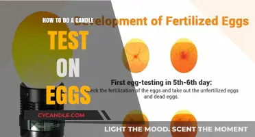 Testing Egg Freshness: The Candle Test