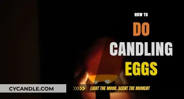 Candling Eggs: A Step-by-Step Guide to Success