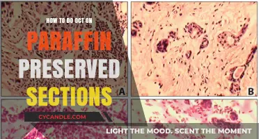 Performing OCT on Paraffin-Preserved Tissue Sections: A Step-by-Step Guide