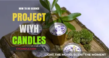 Candle Science Projects: Fun Experiments for Kids