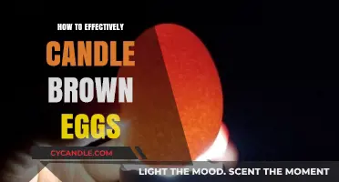 Candling Brown Eggs: Expert Tips for Success