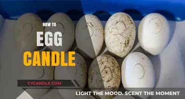 The Ultimate Guide to Egg Candling
