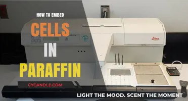 Mastering Paraffin Embedding: A Step-by-Step Guide for Perfect Cell Preservation