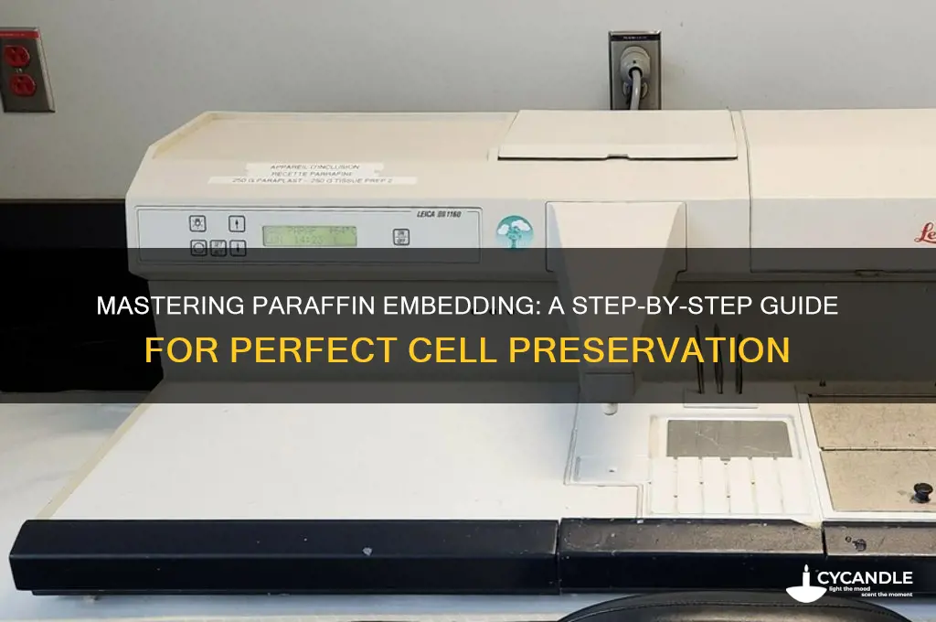 how to embed cells in paraffin