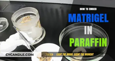Mastering Matrigel Embedding in Paraffin: A Step-by-Step Guide