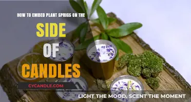 Enhance Your Candles: Embedding Plant Sprigs on the Side