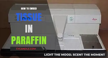Mastering Paraffin Embedding: A Step-by-Step Tissue Preparation Guide