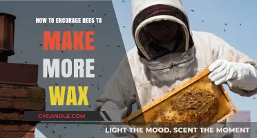 Boosting Bee Wax Production: Tips for Encouraging Bees to Make More Wax