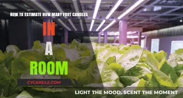 Brighten Your Space: Foot-Candle Estimation Techniques