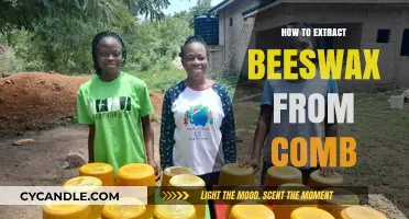 Extracting Beeswax from Comb: A Step-by-Step Guide for Beekeepers