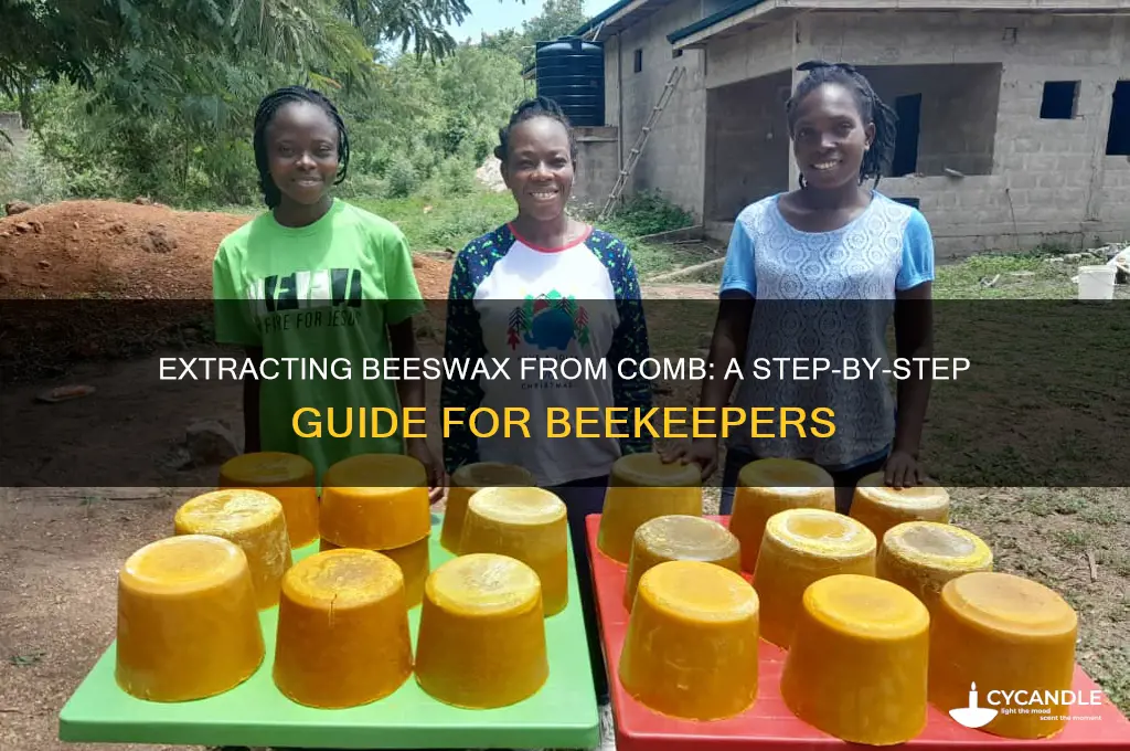 how to extract beeswax from comb