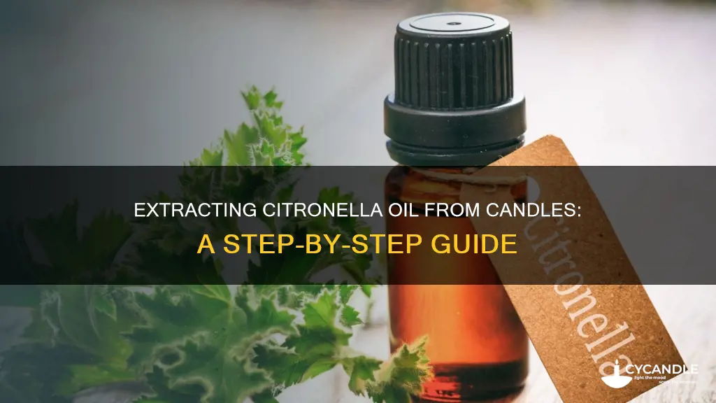 how to extract citronellaoil out of candles