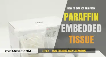 Efficient RNA Extraction Techniques for Paraffin-Embedded Tissue Samples