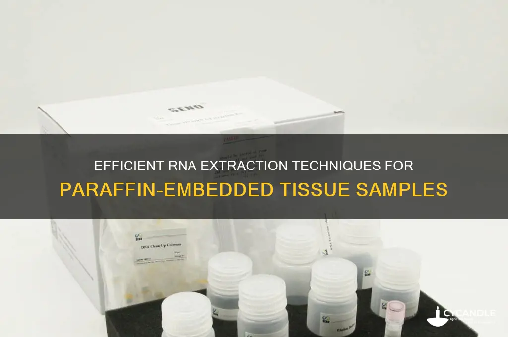 how to extract rna from paraffin embedded tissue