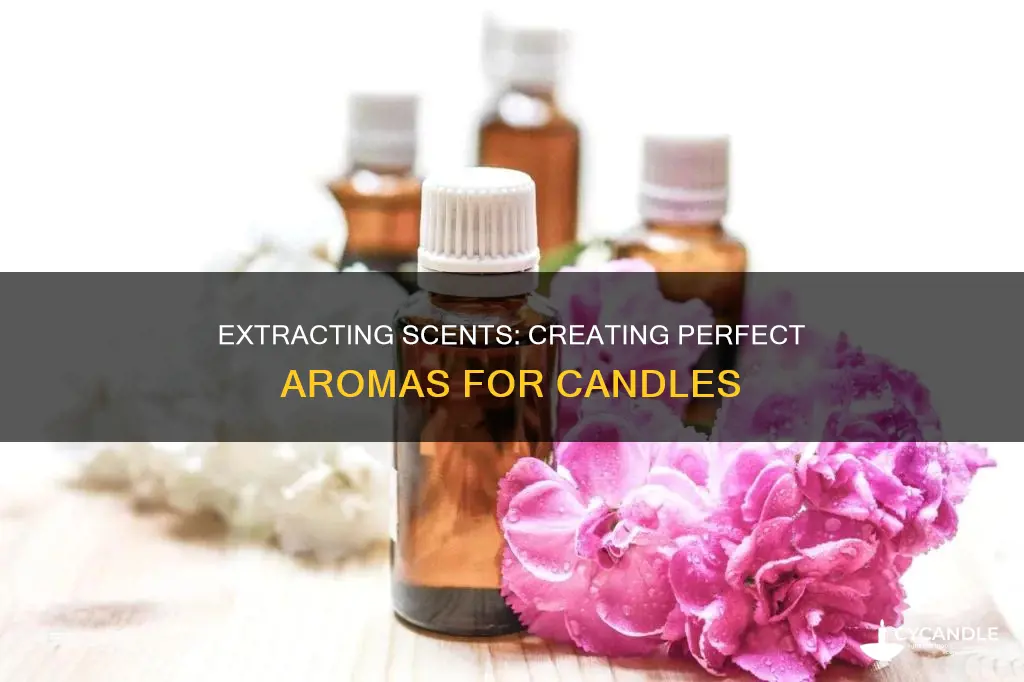 how to extract smells for candles