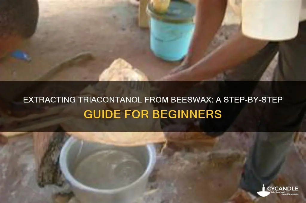how to extract triacontanol from beeswax