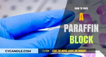 Mastering Paraffin Block Handling: Essential Tips for Smooth Tissue Processing