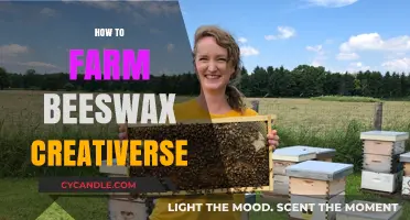 Mastering Beeswax Farming in Creativerse: Tips and Techniques