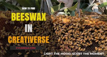 Discovering Beeswax in Creativerse: A Beginner's Guide to Sourcing