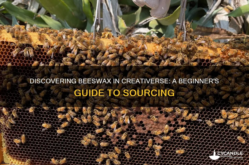 how to find beeswax in creativerse