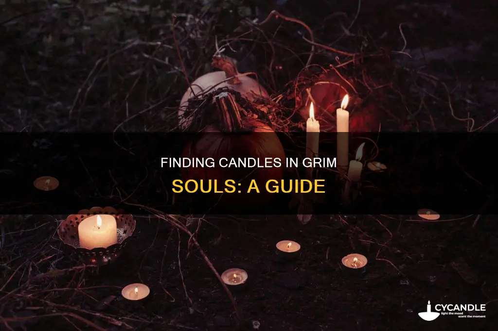 how to find candle in grum souls