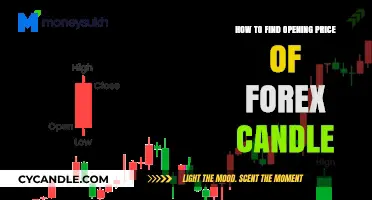 Finding the Opening Price of a Forex Candle