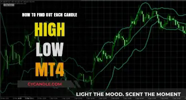 Finding Candlestick Highs and Lows on MT4