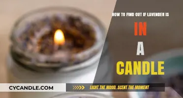 Discovering Lavender in Your Candle: A Simple Guide