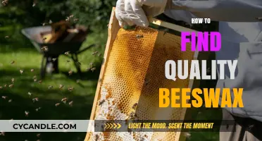 Discovering Premium Beeswax: A Guide to Sourcing Quality Products