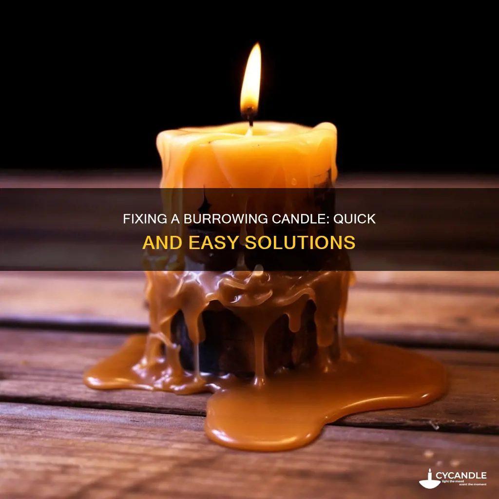 how to fix a burrowing candle