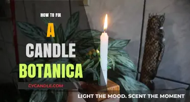 Repairing Candles with Botanicals: A Step-by-Step Guide