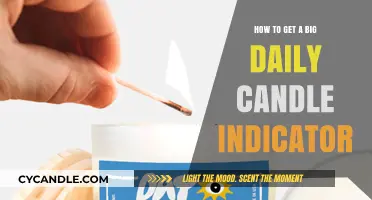 Mastering Daily Big Candle Indicators: A Step-by-Step Trading Guide