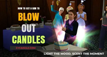Mastering The Sims: Tips for Blowing Out Birthday Candles