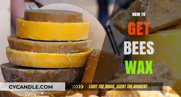 Harvesting Beeswax: A Beginner's Guide to Collecting and Using Beeswax