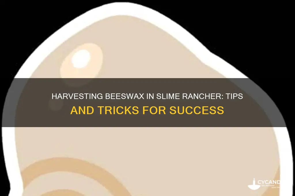 how to get beeswax in slime rancher
