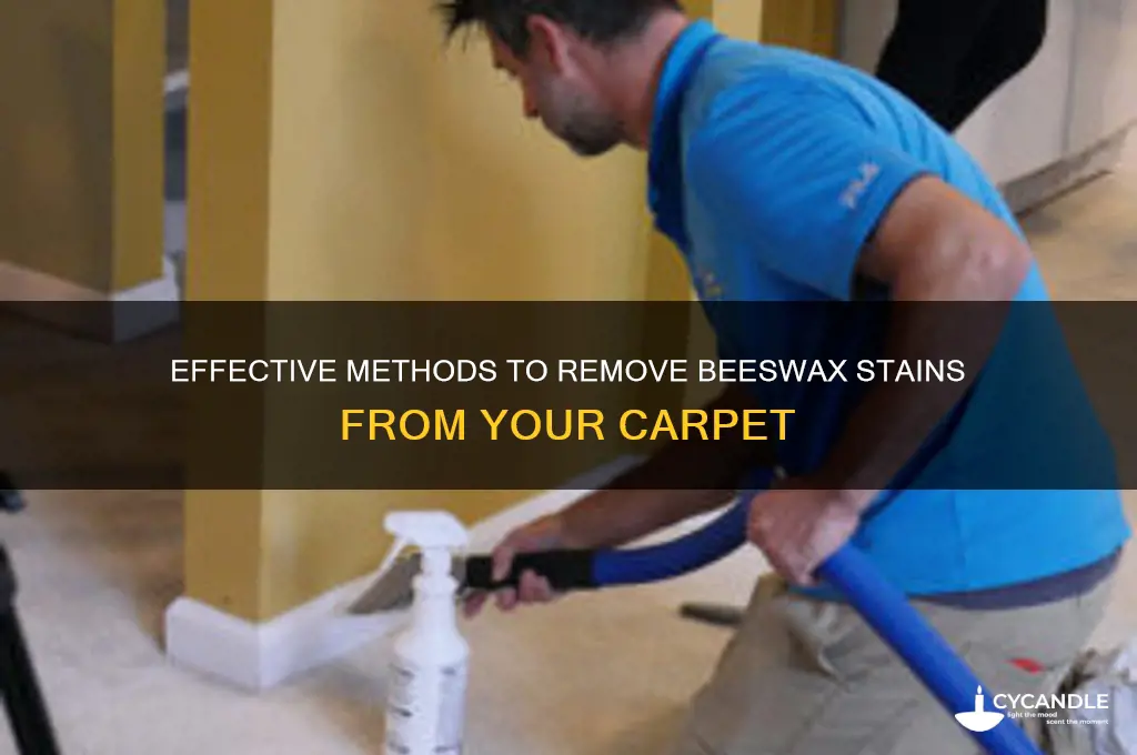 how to get beeswax out of carpet
