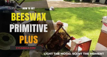 Harvesting Beeswax in Primitive Plus: A Step-by-Step Guide