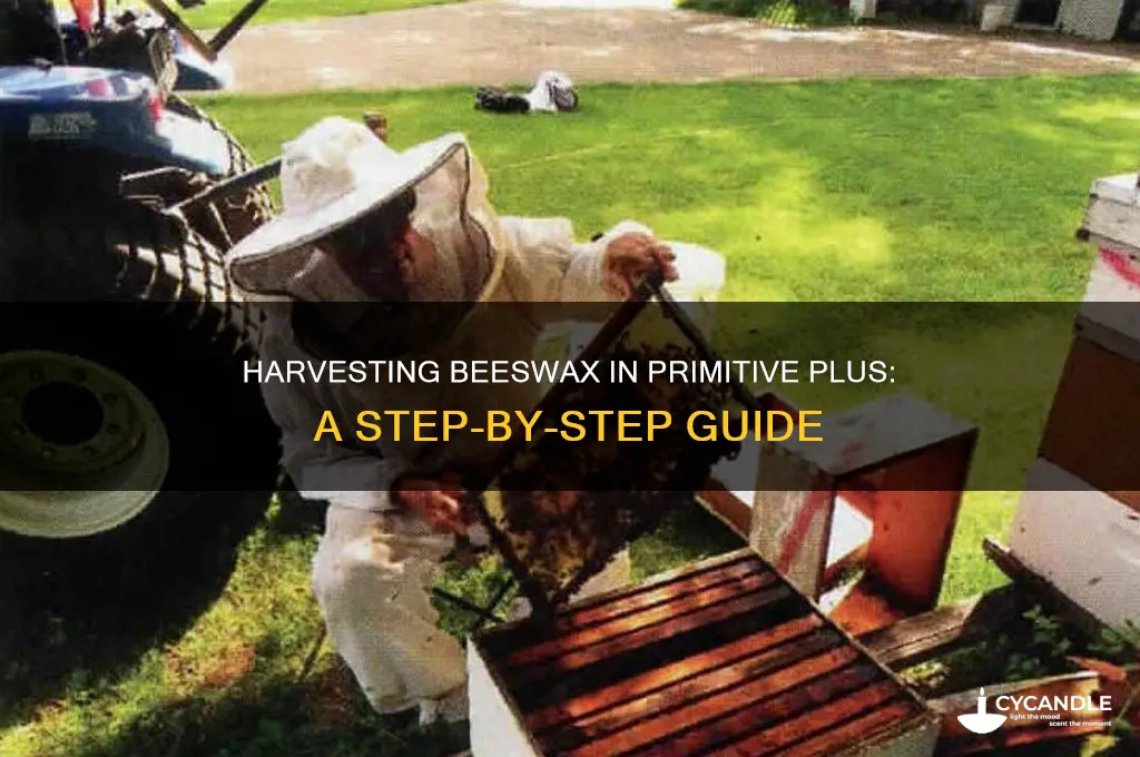 how to get beeswax primitive plus